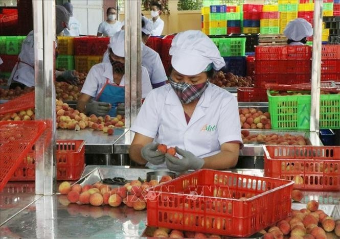 Photo d'illustration : VNA.