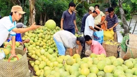 Le marché japonais a des besoins croissants des produits agricoles du Vietnam. 