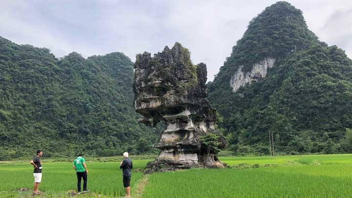 Des experts du Réseau mondial des géoparcs inspecte un site du géoparc mondial Non Nuoc Cao Bang. Photo : VNA.