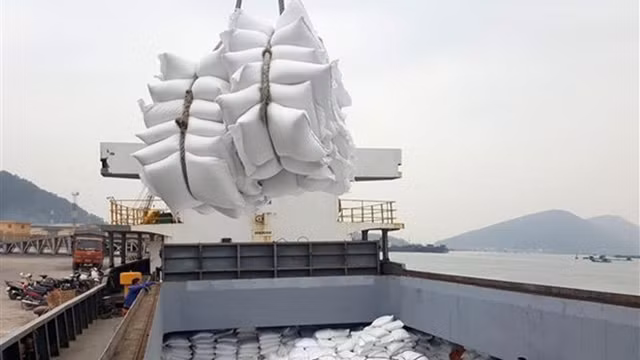 Les contingents tarifaires pour les importations de riz originaire du Vietnam sont ouverts annuellement du 1er janvier au 31 décembre. Photo: VNA