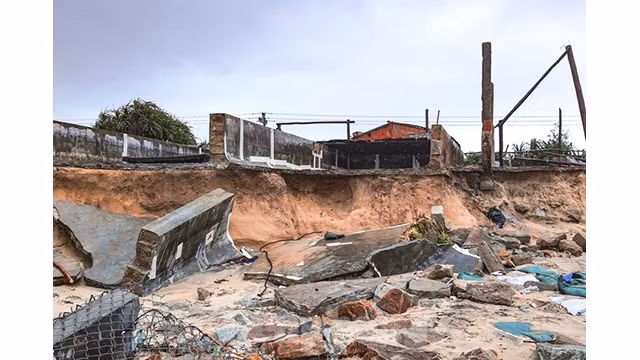 La côte offre maintenant la vision d’un paysage dévasté. Photo : tienphong.vn