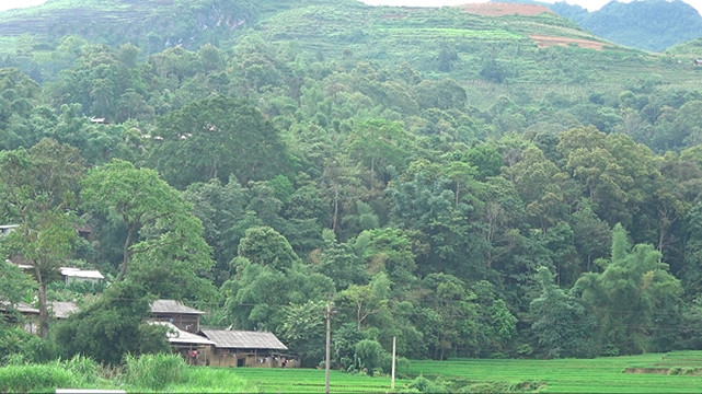 La pratique du culte du génie de la forêt a contribué à garder intactes de nombreuses forêts des H’Mông au district de Si Ma Cai. Photo: VOV