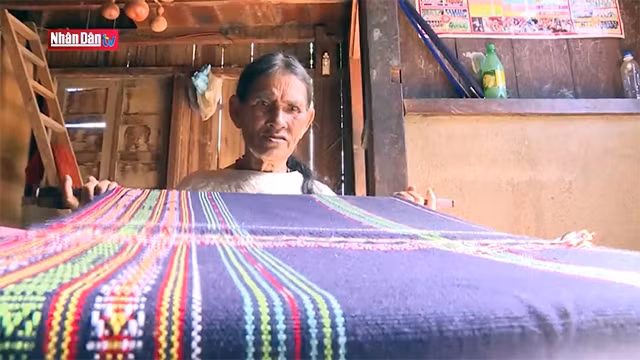 Les brocatelles chatoyantes du Tây Nguyên