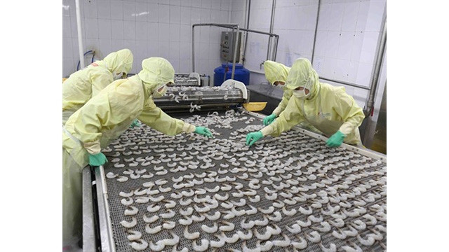 Transformation de crevettes pour l'exportation. Photo : VNA/CVN.
