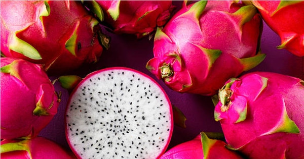 La demande de fruits du dragon sur des marchés comme le Japon, l'Australie… continue de croître. Photo : Tienphong/CPV.