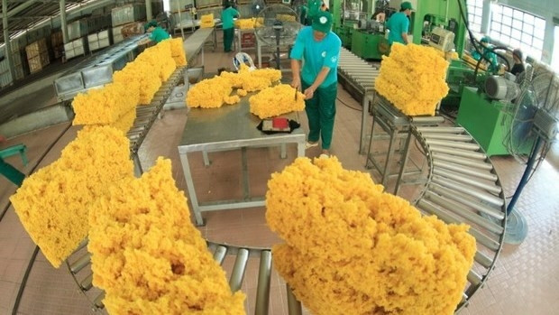 Transformation du latex de caoutchouc destiné à l'exportation à la ferme de caoutchouc de Dâu Tiêng, province de Binh Duong (au Sud du Vietnam). Photo : VNA.