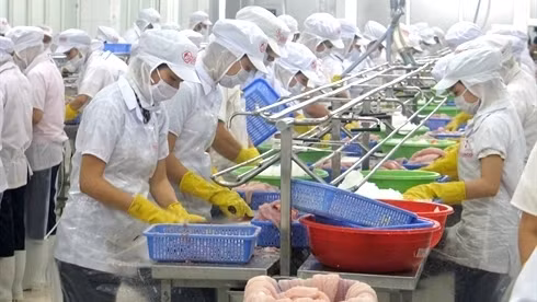 Photo d'illustration. Photo: VNA.