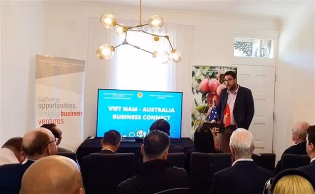 Lors de la rencontre. Photo : VNA.