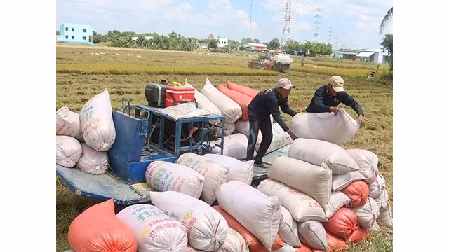 Photo d'illustration : congthuong.vn