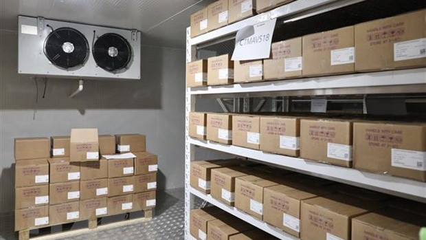 Vaccins stockés dans un entrepôt. Photo : VNA.