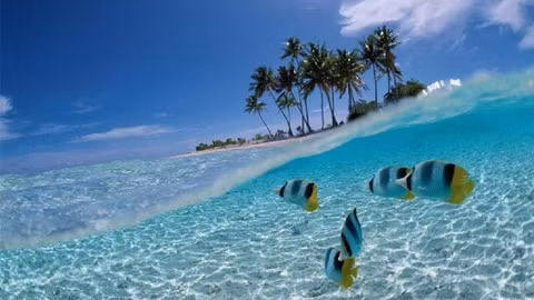 La plage Bali d'Inodésie, une des destinations les plus attrayantes pour les touristes. Photo d'illustration: wallpaperocean.com.