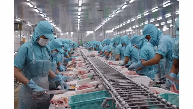Les ministres du Commerce de l’APEC ont souligné l’importance de maintenir les marchés ouverts et de travailler ensemble pour assurer un environnement du commerce et de l’investissement prévisible et stable. Photo : VNA