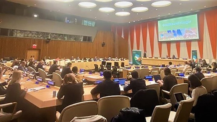 Le Conseil de sécurité de l'ONU convoque le 21 avril une réunion selon la formule Arria sur les conflits et la faim. Photo : VNA.