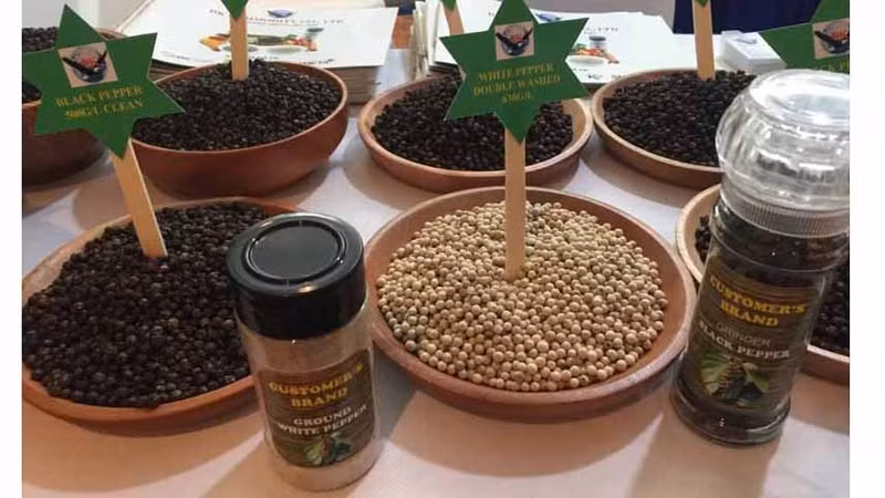 Parmi les épices vietnamiennes, le poivre est le plus connu dans le monde. Photo : NDEL.