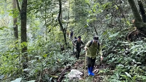 Des experts de l'organisation FFI visitent le Parc national Du Già à Hà Giang (Nord). Photo : VNA