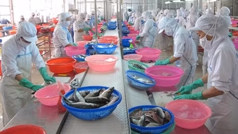 Les procès de défense commerciale sont les défis pour la Vietnam dans son processus d'intégration économique modiale. Photo: VNA.