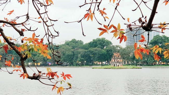 Photo : vtv.vn