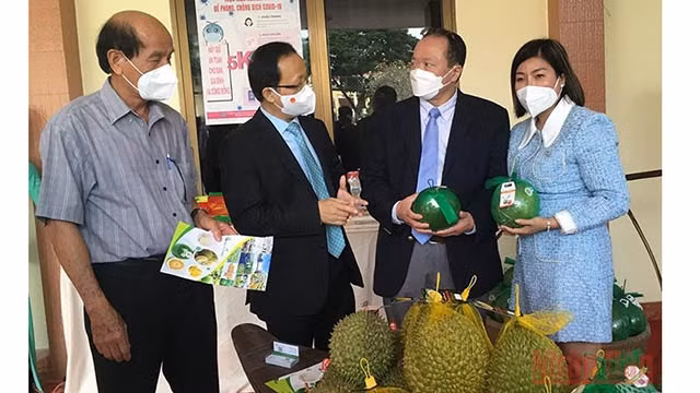 Des délégués s'informent sur les principaux produits de la province de Bên Tre lors de la table ronde. Photo : NDEL.