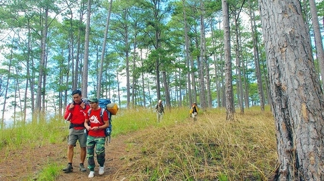 Le parc national de Bidoup - Nui Bà couvre la commune de Da Nhim, district de Lac Duong et une partie du district Dam Rong, occupant presque la totalité du plateau Langbiang – Lâm Viên. Photo : NDEL.