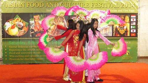 Un numéro artistique vietnamien lors du Festival. Photo: VOV.