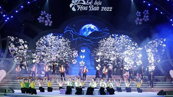 Le festival des fleurs de bauhinie 2022. Photo : VNA.