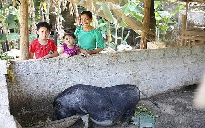 Photo : ChildFund Vietnam.