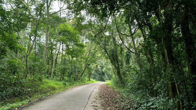 Dans le parc de Cuc Phuong. Photo : ngoisao.net