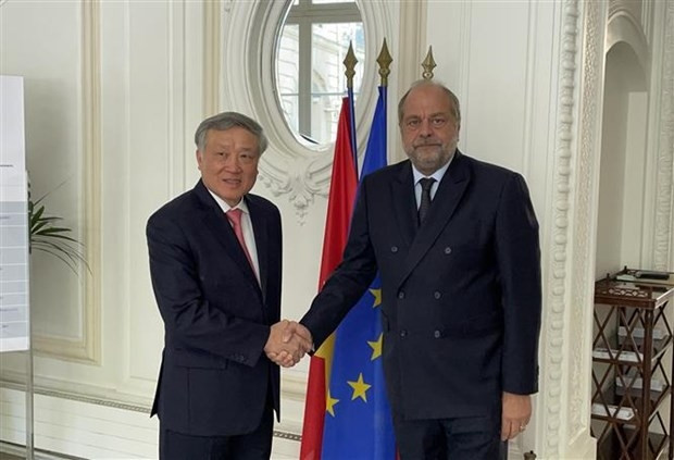 Le président de la Cour populaire suprême du Vietnam, Nguyên Hoa Binh (droite) et le ministre de la Justice de la France, Eric Dupont-Moretti. Photo : VNA