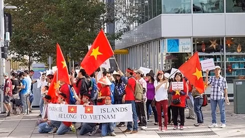 Des Vietnamiens résidant à l'étranger s'orientent vers la mer et les îles sacrées de la Patrie. Photo: VNA.
