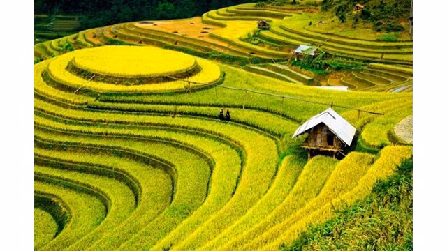 Le Vietnam est classé 9e dans le top 20 des meilleures destinations touristiques de 2020. Photo : Inside Asia Tour.