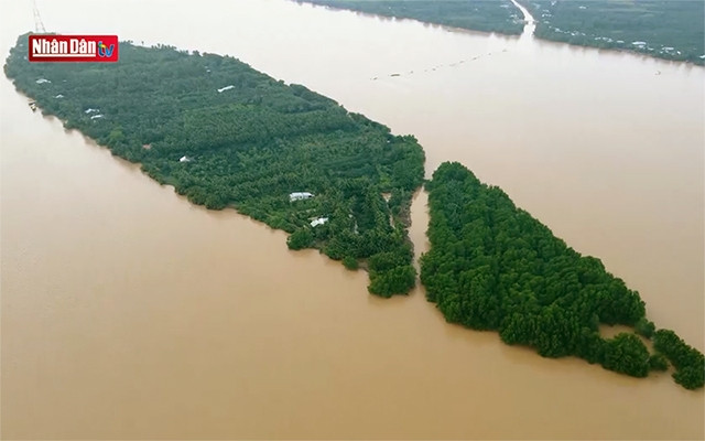 À la découverte de l’îlot de Cồn Hô à Trà Vinh