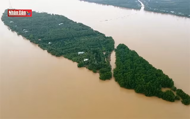 À la découverte de l’îlot de Cồn Hô à Trà Vinh