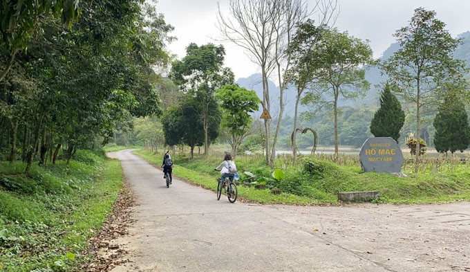 Dans le parc national de Cuc Phuong. Photo : ngoisao.net