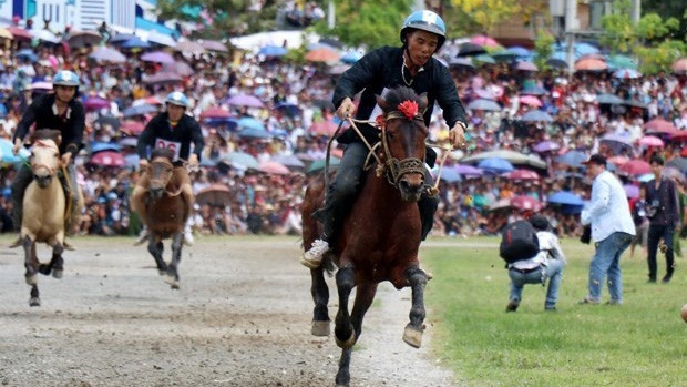 Courses de chevaux dans le district de Bac Hà. Photo : VNA.