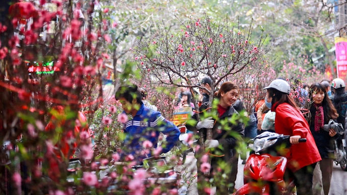 Les vietnamiens aiment bien décorer leur maison de fleurs multicolores à l'occasion du Têt traditionnel. Photo d'illustration.