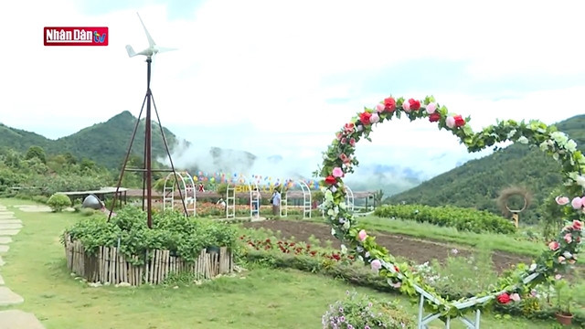 Les fleurs du district montagneux de Binh Lieu à Quang Ninh