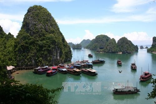  Baie de Ha Long - patrimoine naturel mondial de l’UNESCO. Photo : VNA.