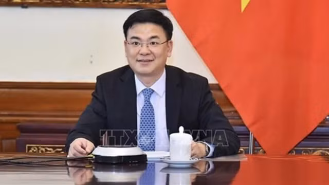 Le vice-ministre des Affaires étrangères et président du Comité d’Etat chargé des Vietnamiens résidant à l’étranger, Pham Quang Hiêu. Photo : VNA.