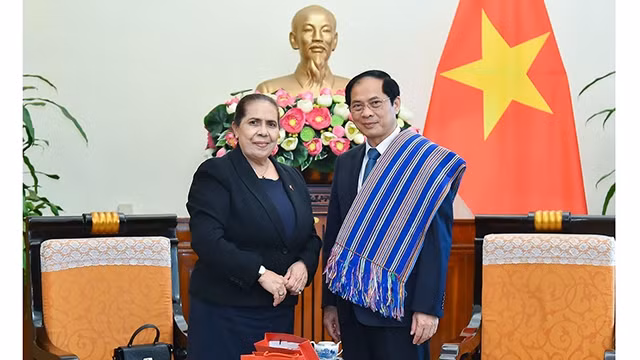 Le ministre des Affaires étrangères, Bùi Thanh Son (à droite) et l'ambassadrice du Timor-Leste au Vietnam, Maria Olandina Isabel Caeiro Alves. Photo : baoquocte.vn.