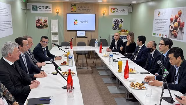 Une séance de travail entre la délégation de l’ambassade du Vietnam en France et des partenaires français. Photo : thoidai.com.vn.