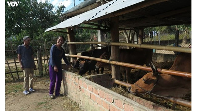 Les habitants en difficulté ont pu compter sur les soutiens techniques et financiers accordés par des autorités locales pour trouver un emploi, développer leurs activités économiques et sortir durablement de la pauvreté. Photo : VOV.