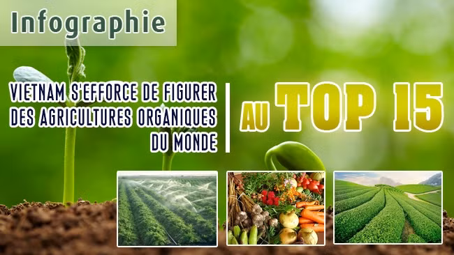 [Infographie] Vietnam s’efforce de figurer au Top 15 des agricultures organiques du monde