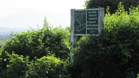La forêt protectrice de Krông Pha au district de Ninh Son, province centrale de Ninh Thuân, est le fruit du Projet JICA 2 Ninh Thuân. Photo: VNA.