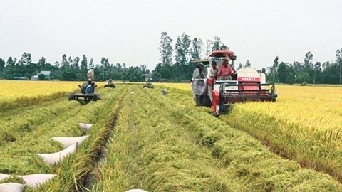 L’APEC a fait de la sécurité alimentaire l’une de ses priorités. Photo: VNA.