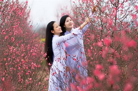 La beauté du printemps, sa lumière et sa magie ont inspiré d’immenses compositeurs. Photo : VOV.