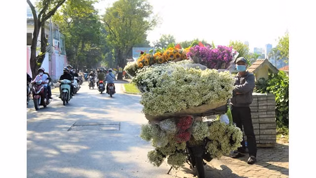 Hanoi brille de couleurs de fleurs d’automne. Photo : Tri Minh/NDEL.