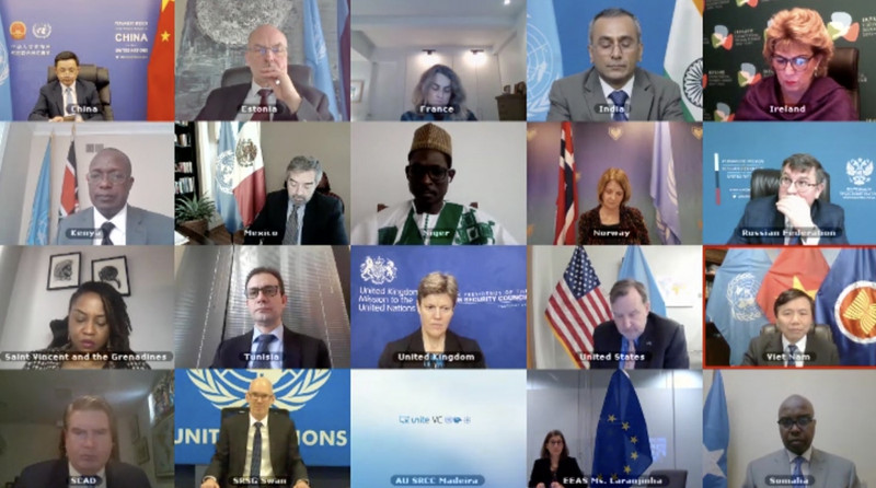 Réunion publique en ligne sur la situation en Somalie. (Capture d’écran)