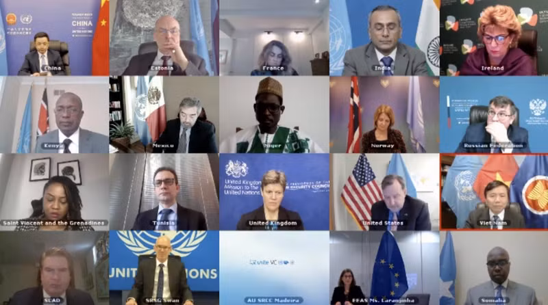 Réunion publique en ligne sur la situation en Somalie. (Capture d’écran)