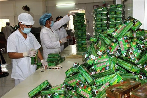 Le secteur économique privé aide le Vietnam à progresser nettement dans son développement. Photo: VNA. 