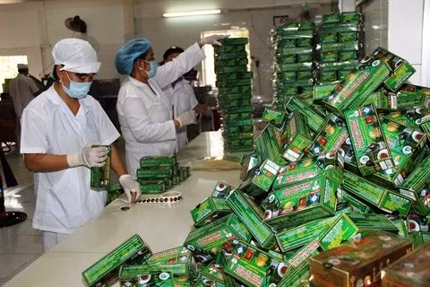 Le secteur économique privé aide le Vietnam à progresser nettement dans son développement. Photo: VNA. 